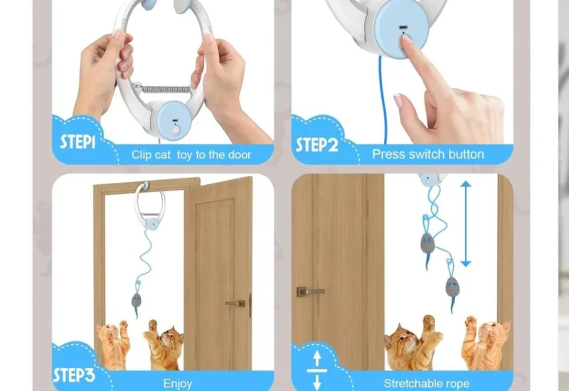 Otomatlı Kedi Oltası 