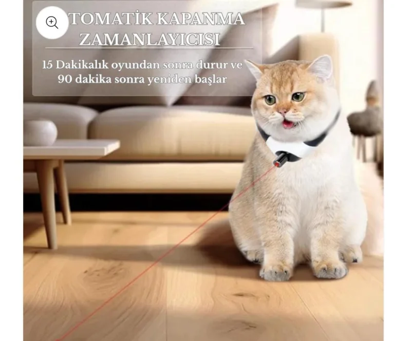 Oyuncak Kedi Tasması 