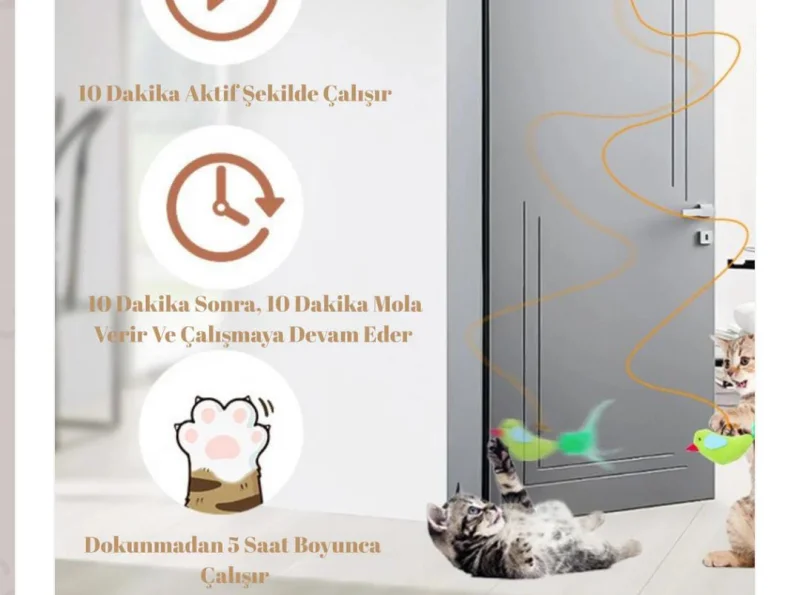 Otomatlı Kedi Oltası 