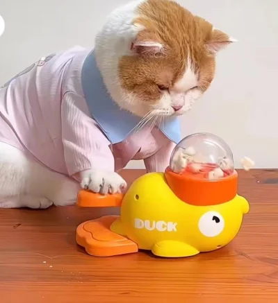 Ödül dağıtan Ördek Oyuncak